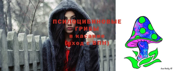 бутик Бородино