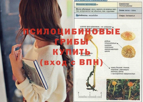 экстази Бронницы