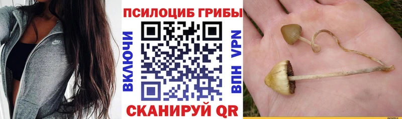 сколько стоит  Клинцы  Галлюциногенные грибы мухоморы 